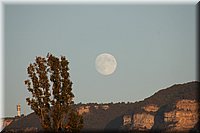 Spring12_105.JPG