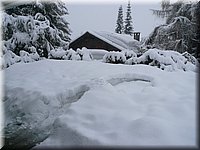 Spring12_169.JPG