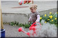 Spring12_214.JPG