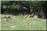 sum12-126.JPG