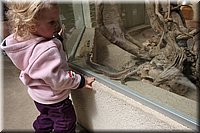 sum12-128.JPG