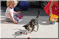 sum12-160.JPG