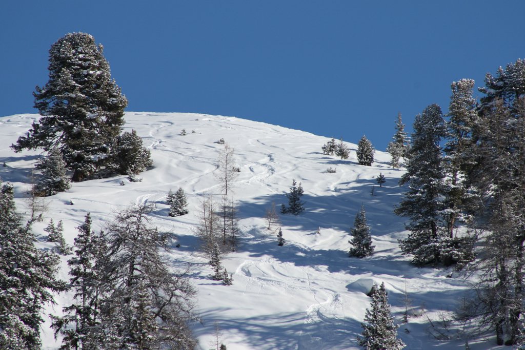 winter12-13_215.JPG
