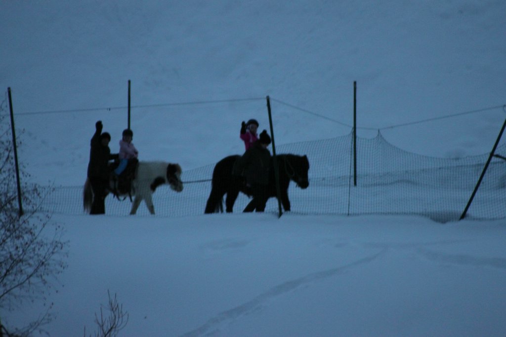 winter12-13_221.JPG