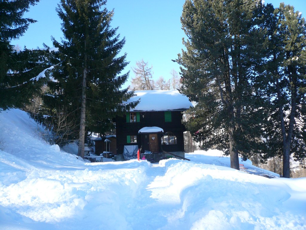 winter12-13_250.JPG
