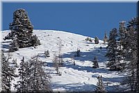 winter12-13_215.JPG