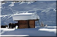 winter12-13_216.JPG