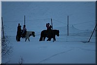 winter12-13_221.JPG