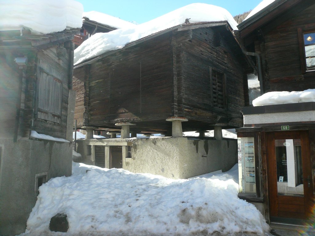 131.JPG