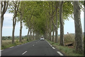 429.JPG