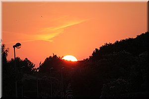 450.JPG