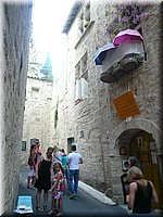 451.JPG