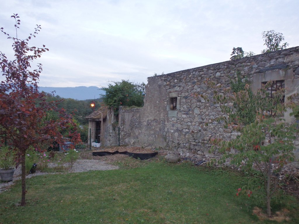 autumn14_04.JPG