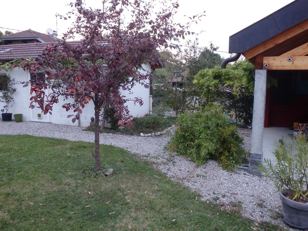 autumn14_05.JPG