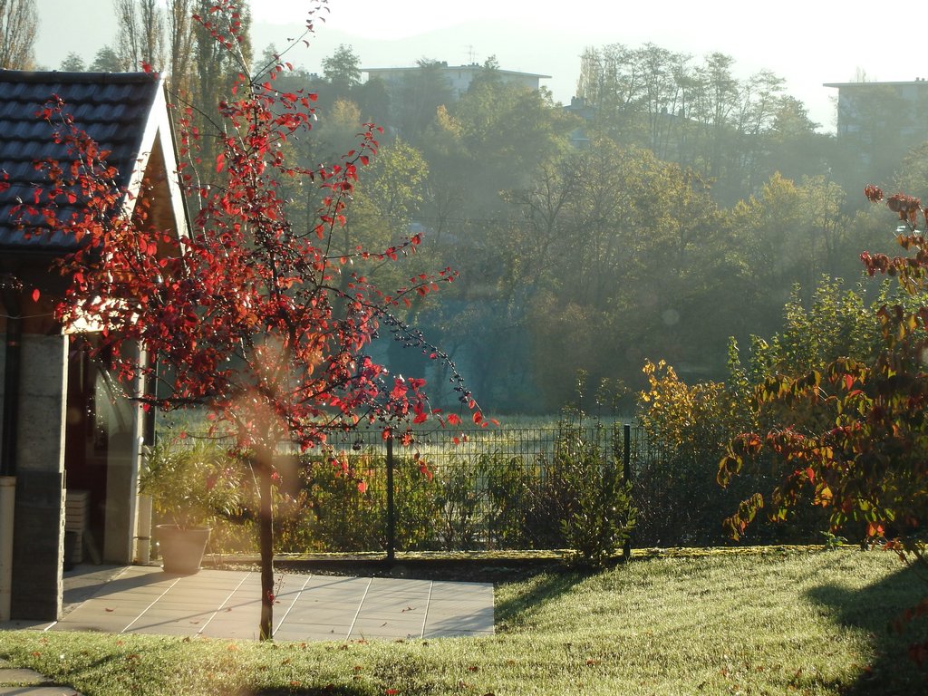 autumn14_16.JPG
