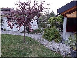 autumn14_05.JPG