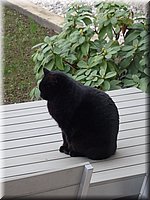 autumn14_38.JPG