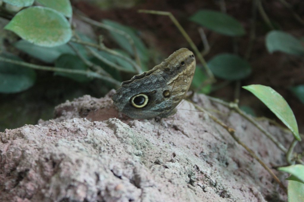 spring_025.JPG
