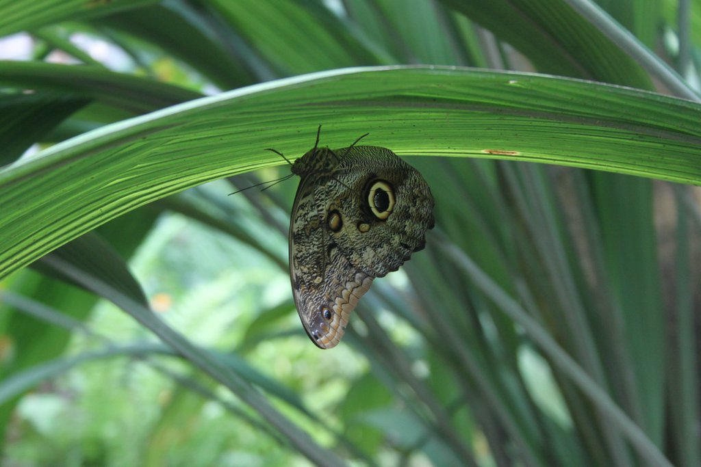 spring_030.JPG
