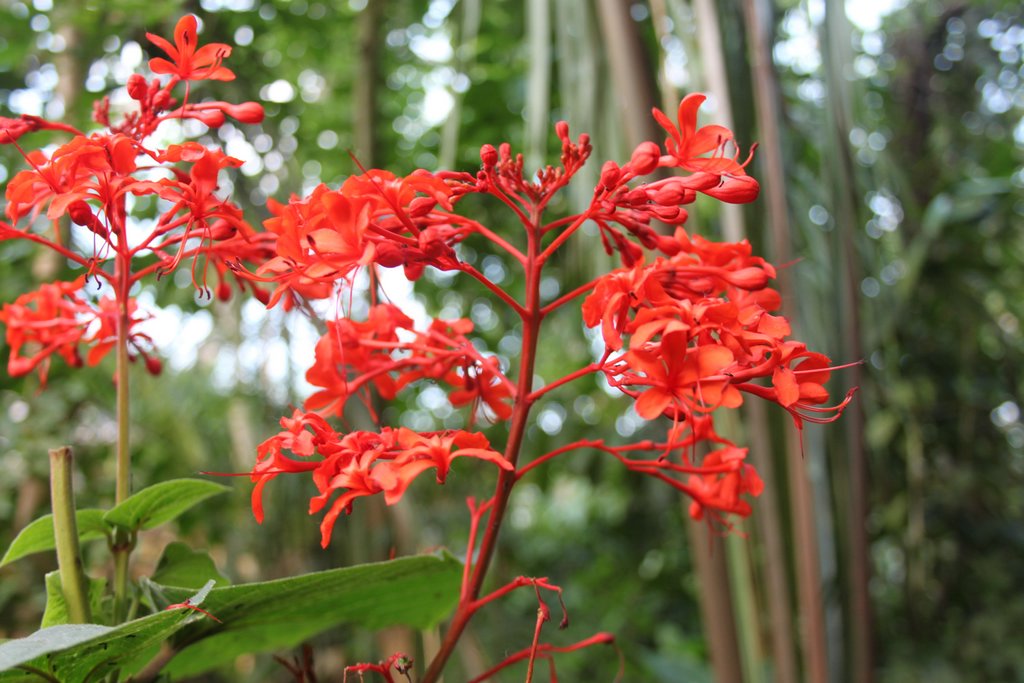 spring_038.JPG