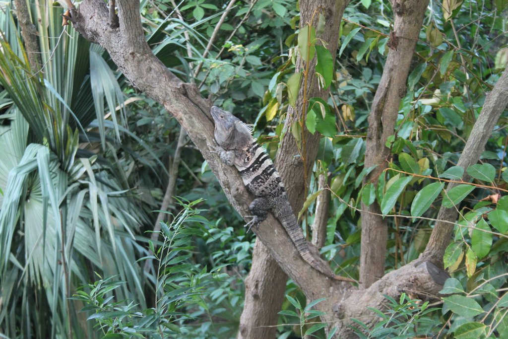 spring_041.JPG