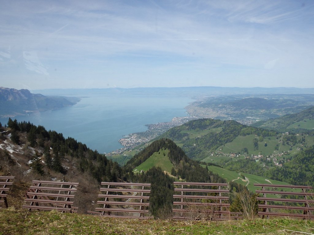 spring_071.JPG