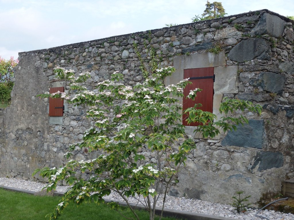 spring_083.JPG