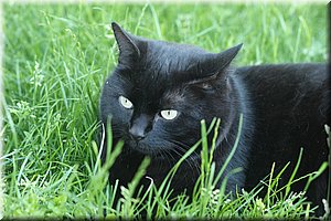 spring_018.JPG