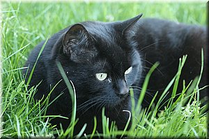 spring_019.JPG