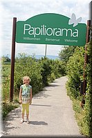 spring_020.JPG