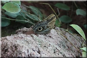 spring_025.JPG