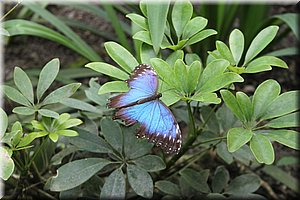 spring_027.JPG