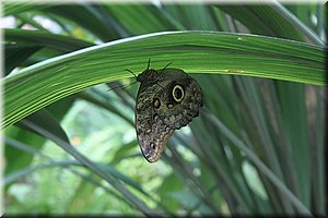 spring_030.JPG