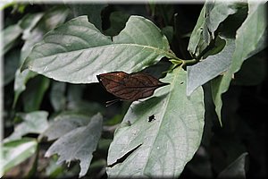 spring_031.JPG