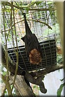 spring_033.JPG
