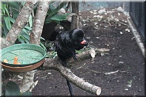 spring_036.JPG