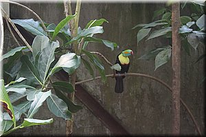 spring_039.JPG
