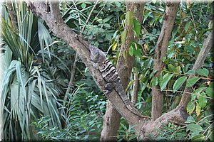 spring_041.JPG