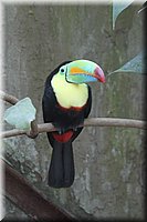 spring_044.JPG