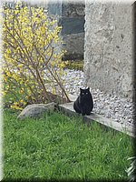 spring_049.JPG