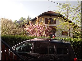 spring_064.JPG