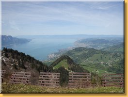 spring_071.JPG
