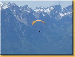 spring_075.JPG