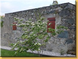 spring_083.JPG