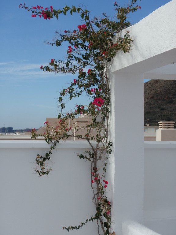 carboneras_022.JPG