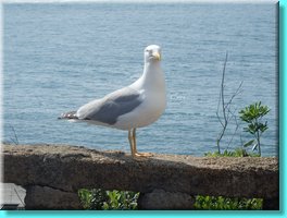 Biarritz36.JPG