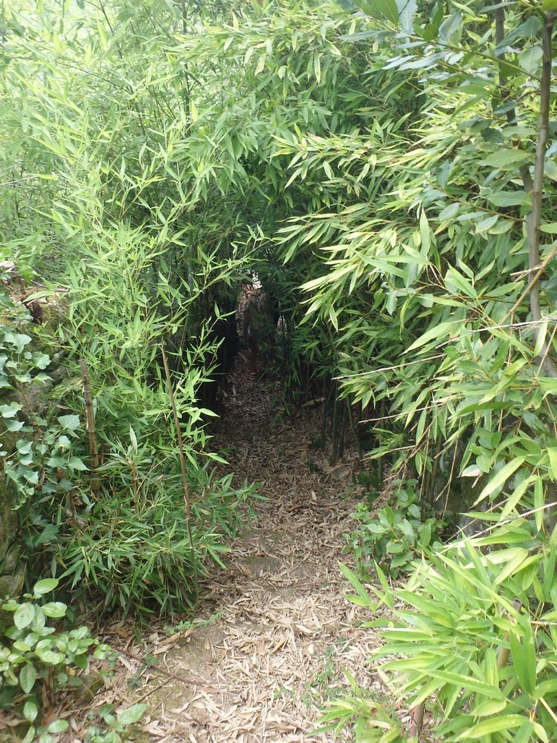 Ardeche12.JPG