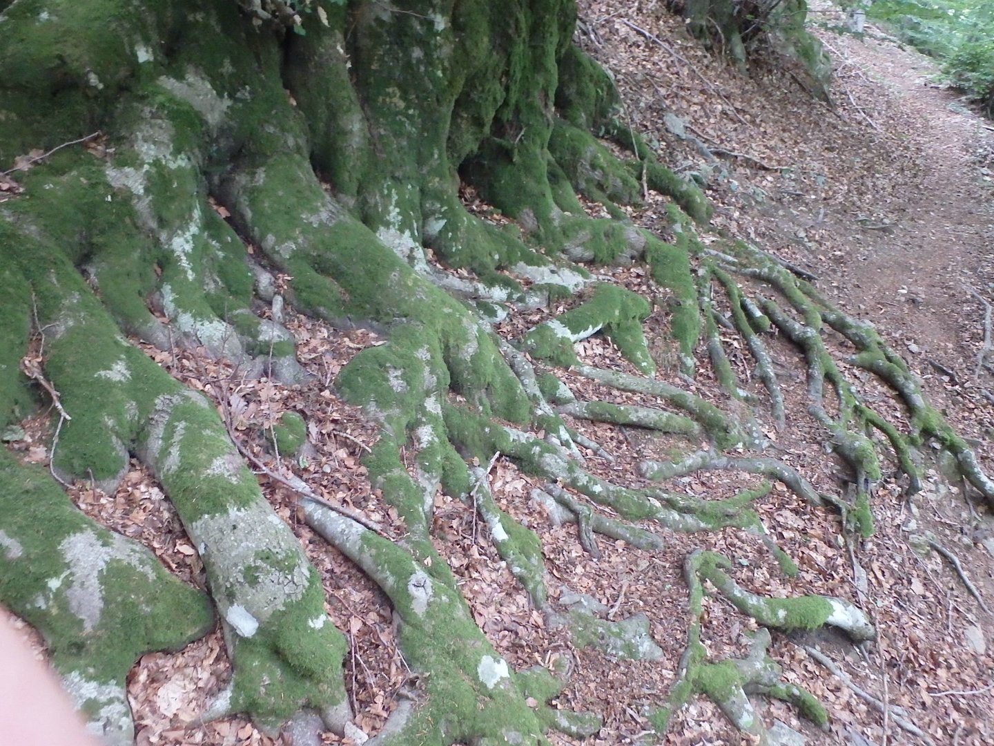 Ardeche57.JPG