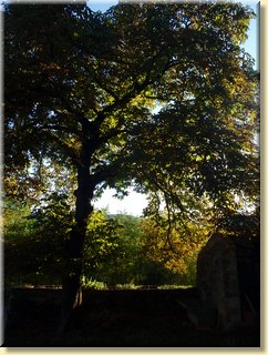 Ardeche41.JPG