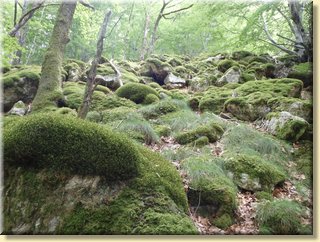 Ardeche54.JPG